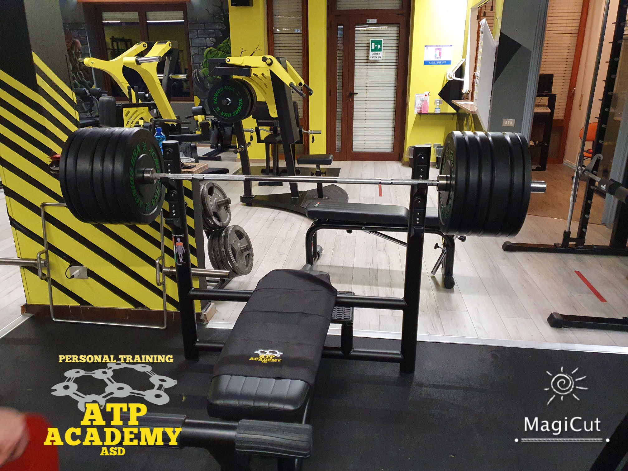Beast Gym Professional Equipment