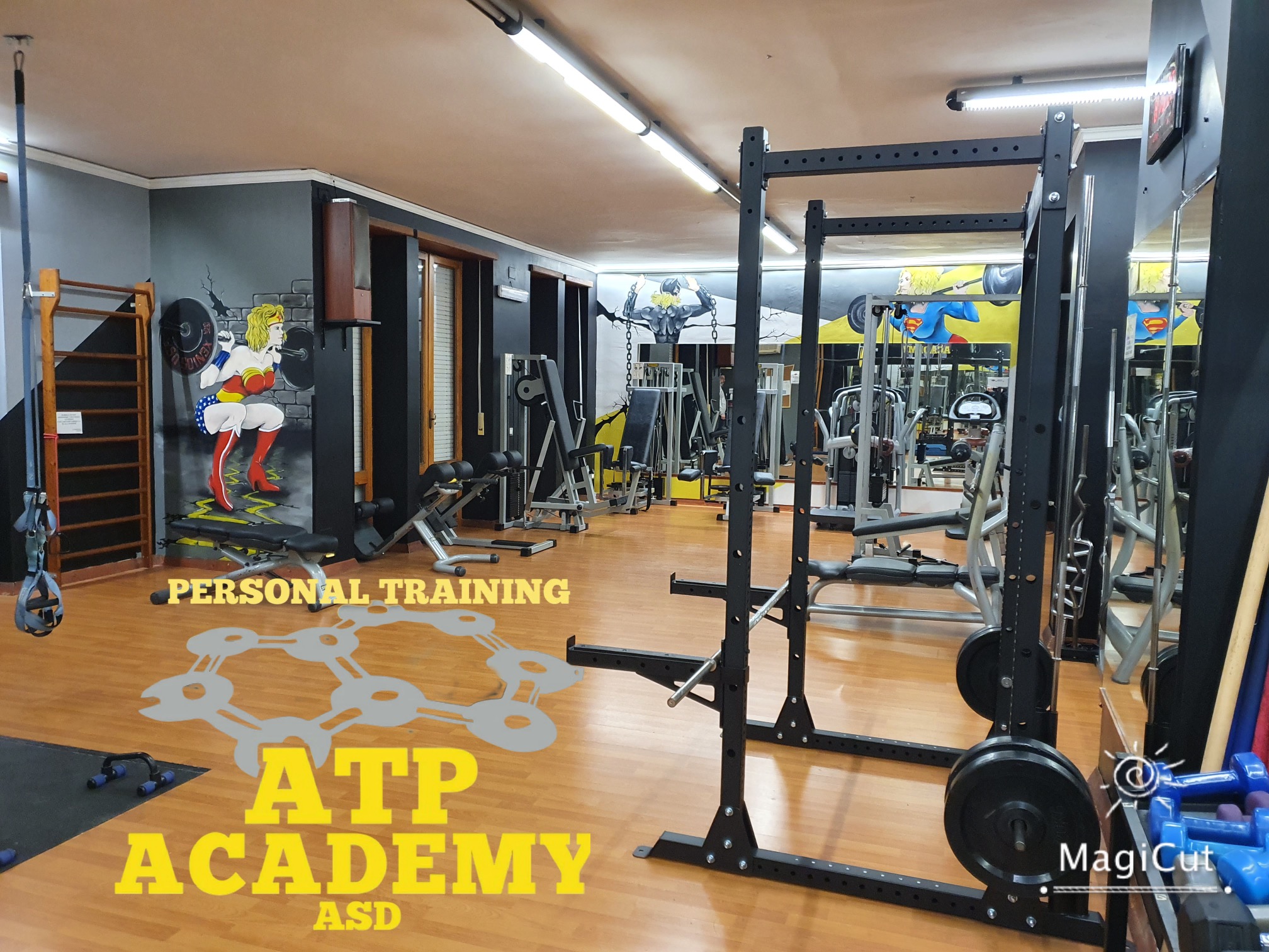 Beast Gym Interior with Equipment