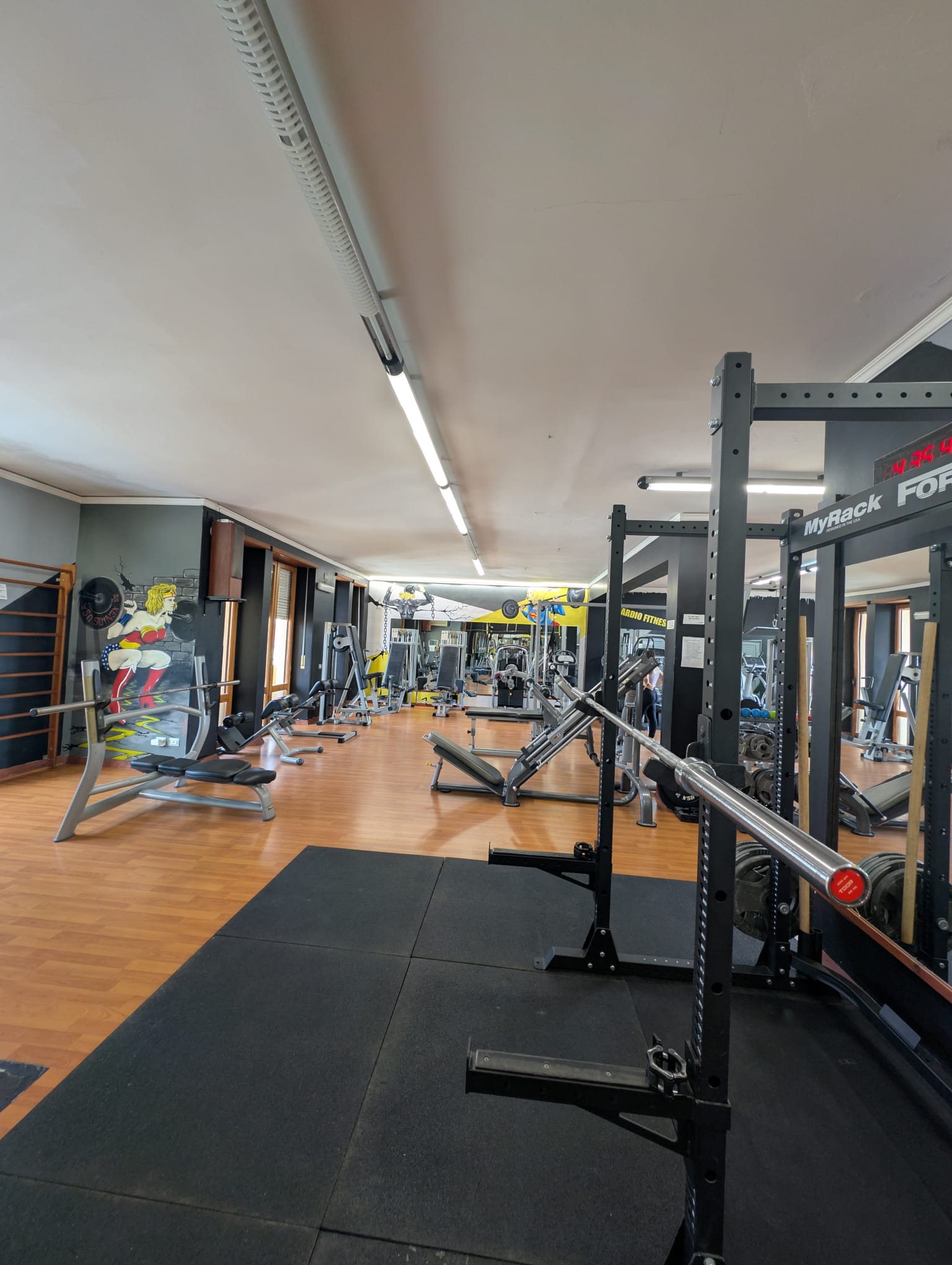 Beast Gym Professional Equipment